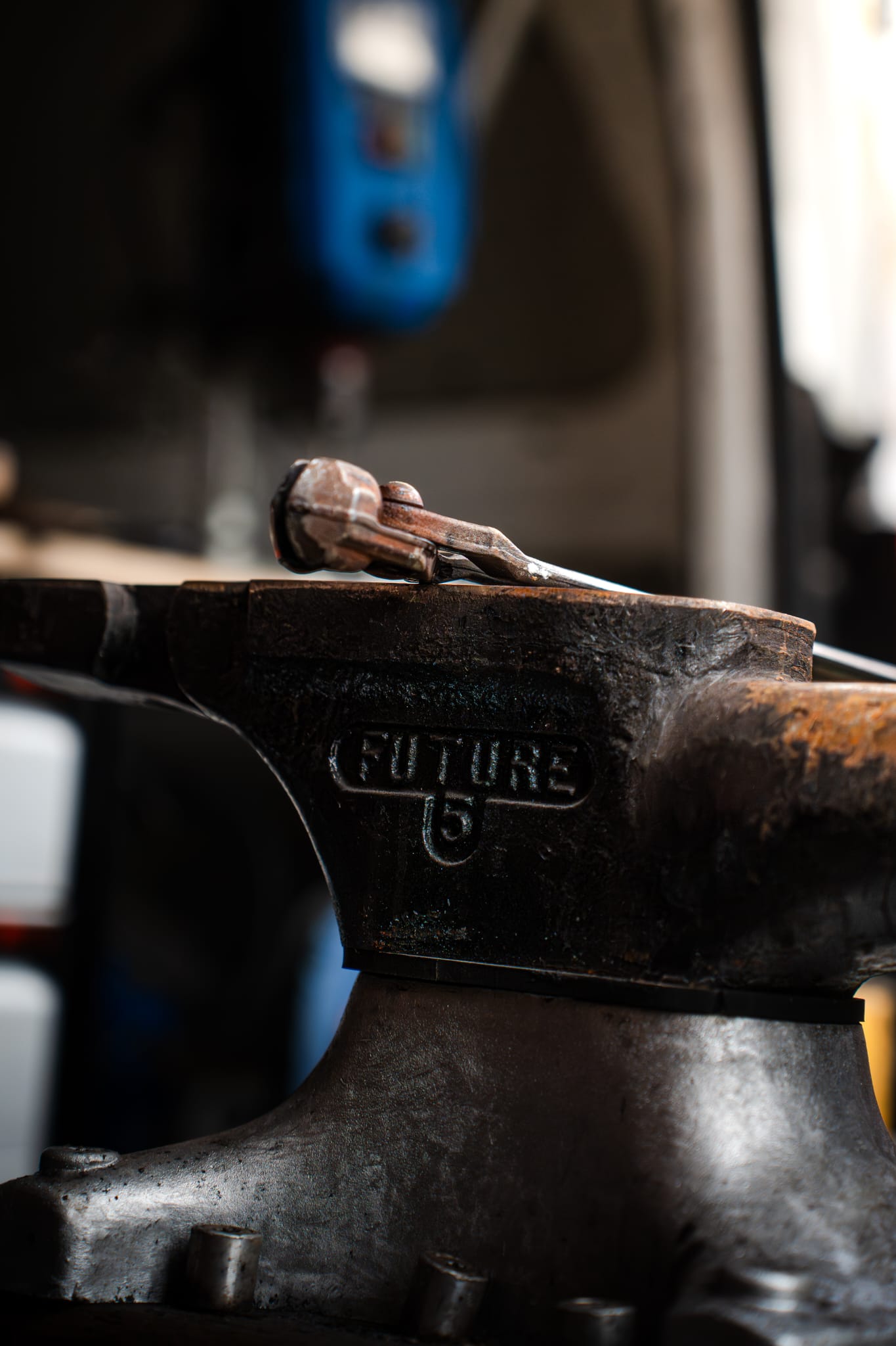 Sorgfältige Hufreinigung