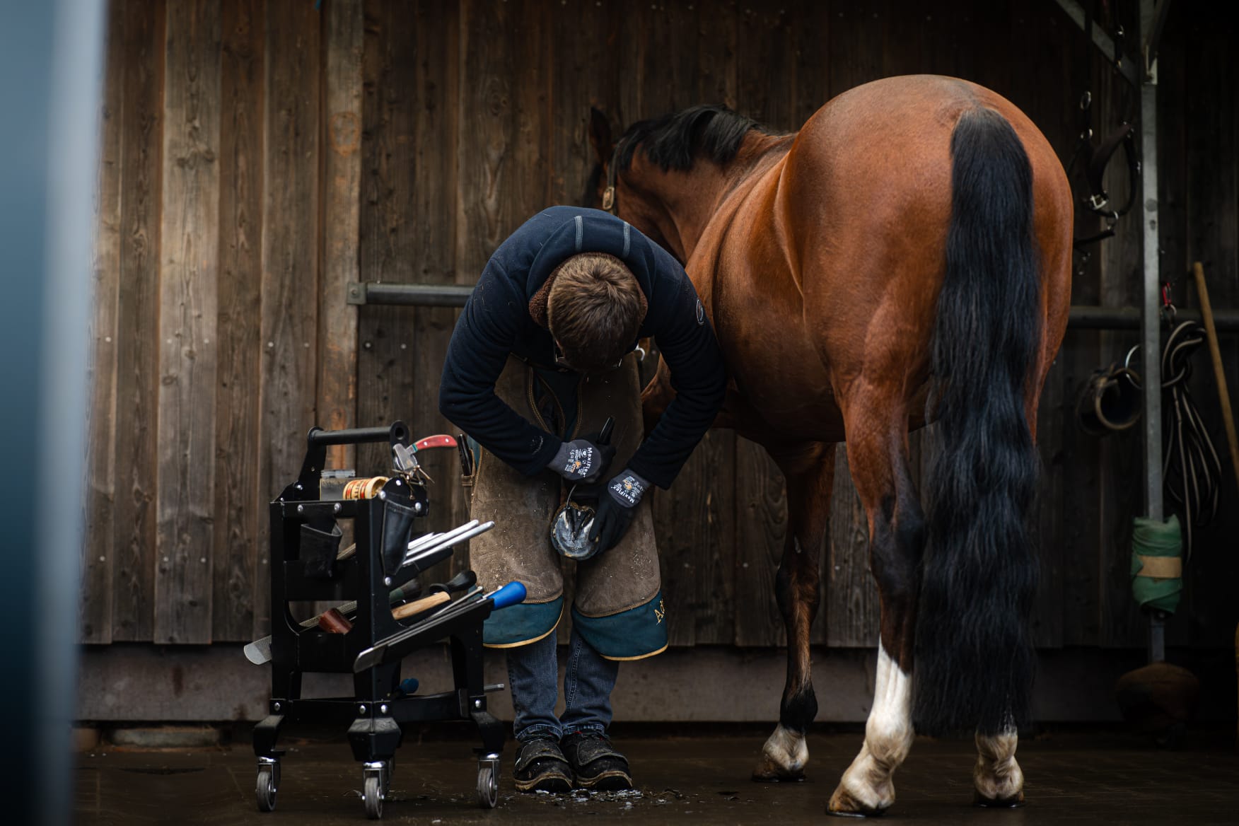 Individuelle Hufanpassung